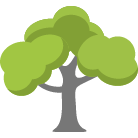 Ankeny Tree Removal