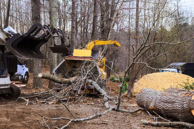 Tree Removal Equipment Setup