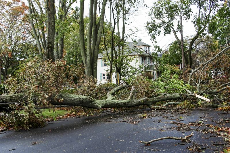 Storm Damage Tree Clearing